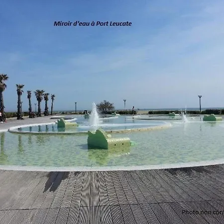 2 Pieces Climatisee Avec Terrasse, Face A La Mer, Parking Prive, Proche Commerces Et - Fr-1-81-343 Leucate